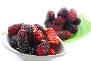 Group of ripe mulberries in white bowl