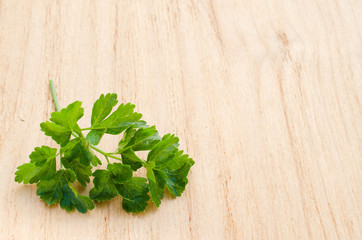 Sprig of fresh organic green parsley on a wooden background