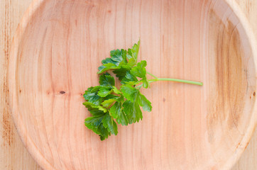 Sprig of fresh green parsley in a wooden plate
