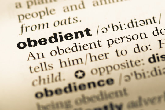 Close up of old English dictionary page with word obedient