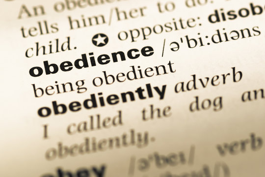 Close up of old English dictionary page with word obedience