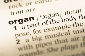 Close up of old English dictionary page with word organ
