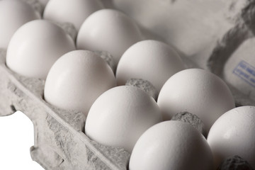 Egg Carton - Closeup