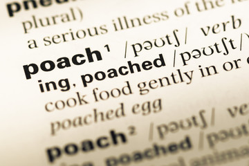 Fototapeta premium Close up of old English dictionary page with word poach