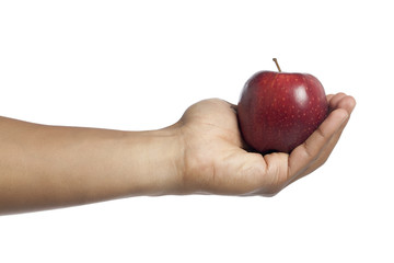 human hand holding red apple