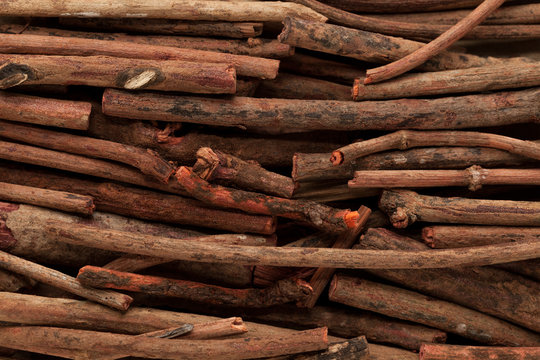 Macro closeup background texture of Organic Manjistha or Indian madder (Rubia cordifolia).