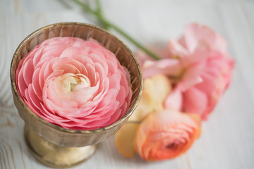 bunch of pale pink ranunculus persian buttercup  light background, wooden surface. glass vase