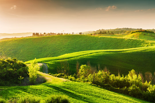 Green hills of Tuscany, Italy.