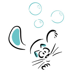 Cat playing with soap bubbles