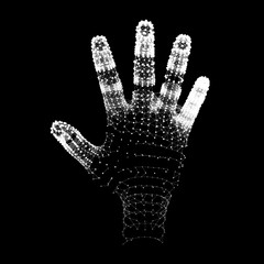 Human Arm. Human Hand Model. Hand Scanning. 3d Covering Skin