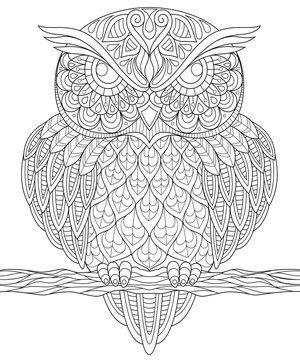 Owl. Adult anti-stress coloring page. Black and white hand drawn illustration for coloring book