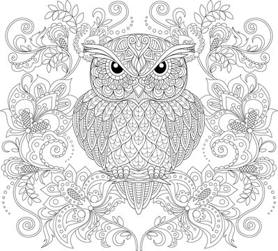 Owl and floral ornament. Adult antistress coloring page. Black and white hand drawn doodle for coloring book
