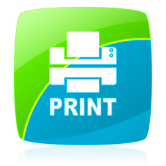 Print icon