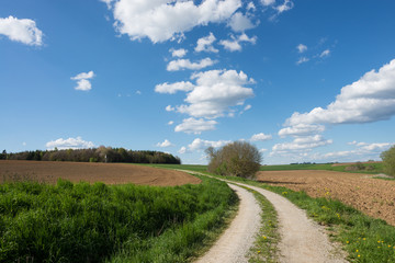 Fototapeta na wymiar Landschaft mit Felder unter Himmel