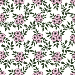 Floral seamless pattern in retro style,  pink  flowers white  background