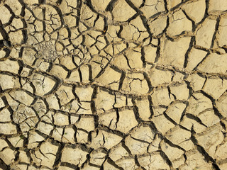 cracked earth textured