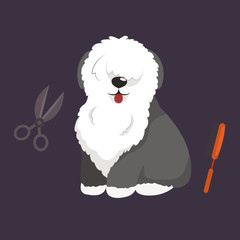 Dog hair hygiene. Vector Illustration Set Pet Grooming and care