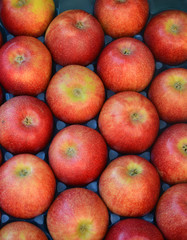 ripe apples  for sale in a display crate