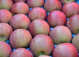 ripe apples  for sale in a display crate