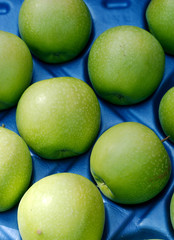 selected ripe apples  for sale in a display crate