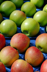selected ripe apples  for sale in a display crate