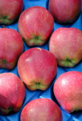 selected ripe apples  for sale in a display crate