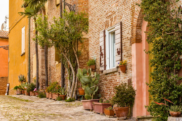 Fototapeta na wymiar cobbled street of a medieval village