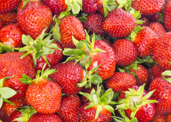 strawberry on white background