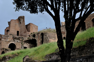 palatin