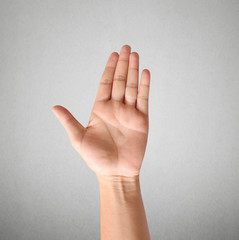 hand showing five count.