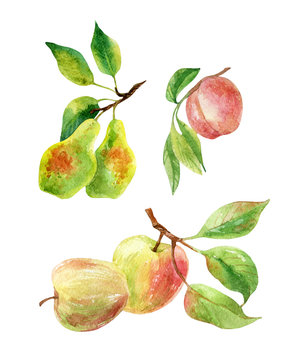 Apple, pear and peach branches with leaves and fruits in watercolor