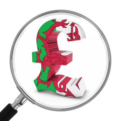 Wales Finance Concept - Welsh Pound Symbol Under Magnifying Glass - 3D Illustration
