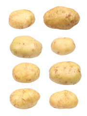 set fresh potatoes isolated on white background, with clipping path
