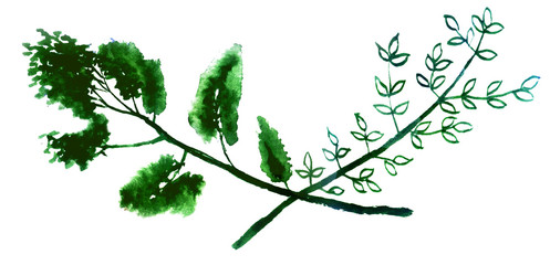 watercolor sketch: a floral element pattern on a white background