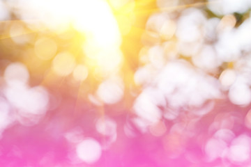 Obraz premium Blur, blur in nature