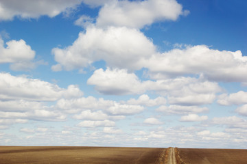 Blue sky background with soft silky clouds, strip yellow field and road.