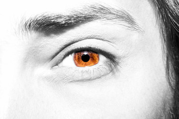 Image of man's brown eye close up.