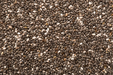 Portion of Healthy Chia seeds  Chia is a superfood