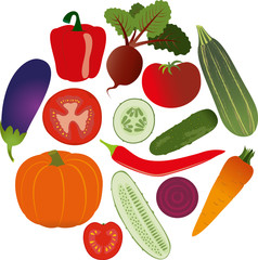 Different fresh vegetables in the form of a circle on a white background