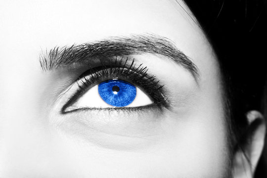 Beautiful insightful look  blue   woman's eyes