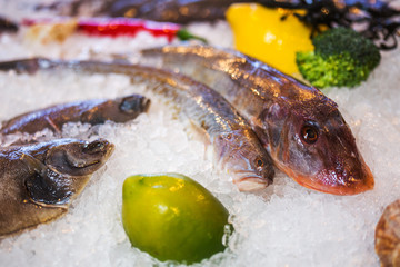 Fresh fish on ice in the market