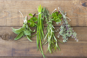 Freshly harvested herbs