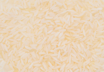 rice background