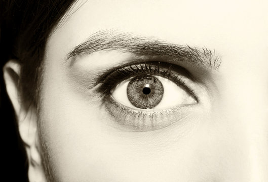 Beautiful insightful look women's vintage eyes