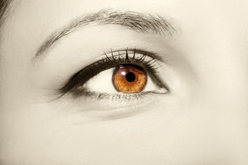 Beautiful insightful look women's vintage eyes