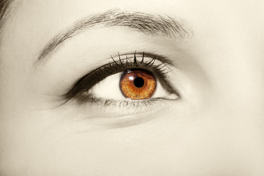 Beautiful insightful look women's vintage eyes