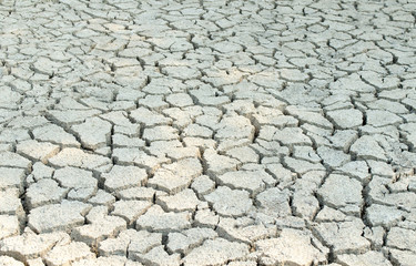 Cracked earth