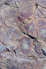 Stone texture with patterns of circles