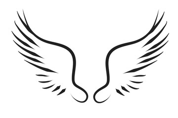 Vector silhouette of a wings.