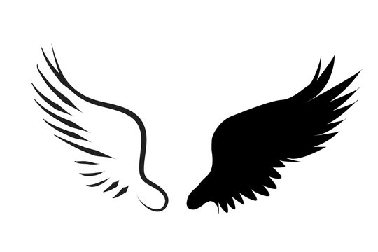Vector silhouette of a wings.